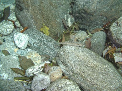 P1010009.JPG