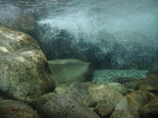 P1010014.JPG