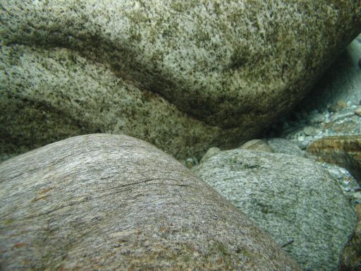 P1010015.JPG