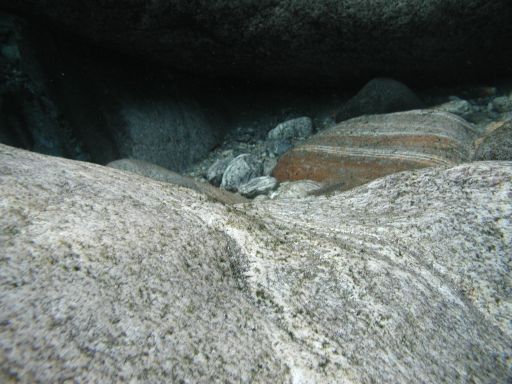 P1010017.JPG