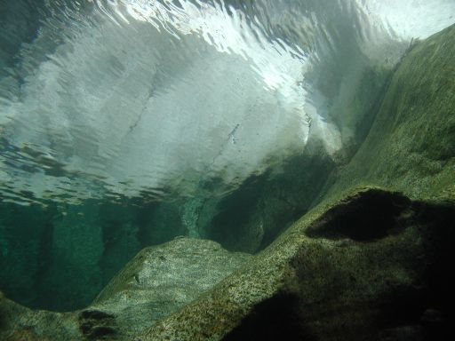 P1010028.JPG